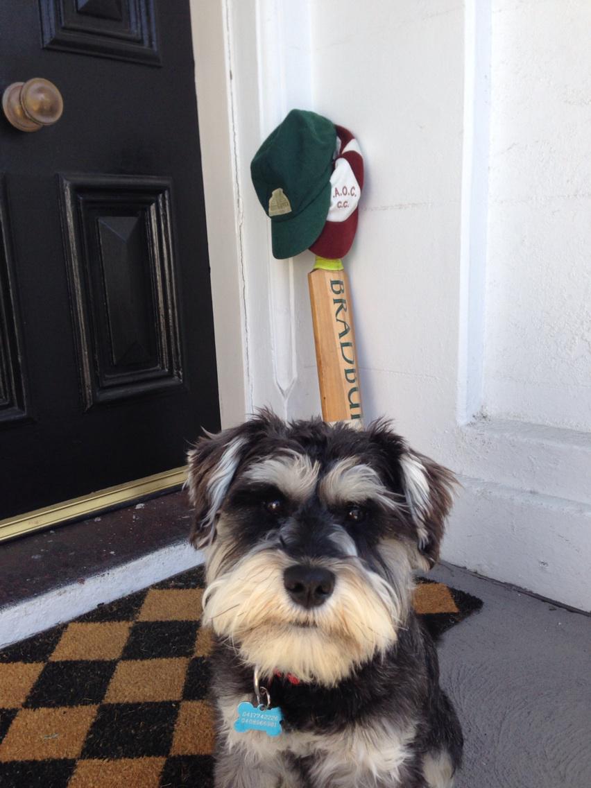 Evan_Lucas84's tweet photo. #putyourbatsout #408 http://t.co/mg32Nks9uT