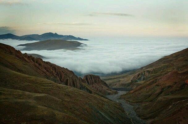 ECO_reto's tweet photo. El maravilloso mundo de las YUNGAS, un gran reservorio de #BIODIVERSIDAD
 
http://t.co/eFiJFdzUnp http://t.co/IxgChgmj8b"
