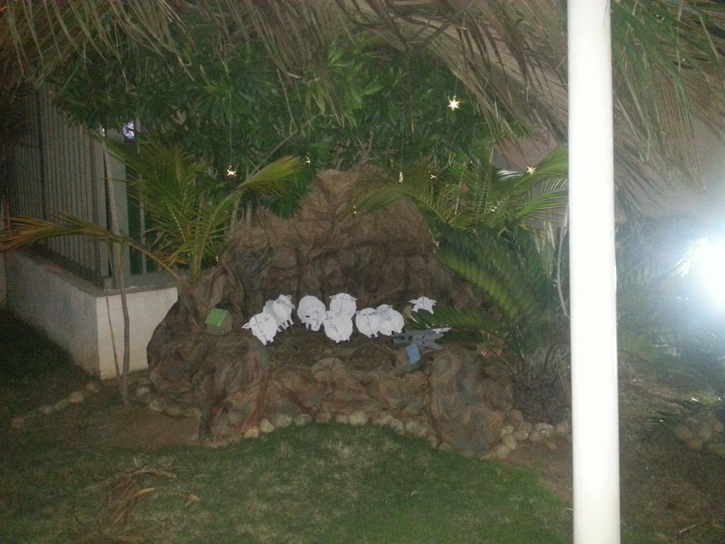 Endrina1828's tweet photo. Avances de nuestro pesebre corporativo! http://t.co/WEVILZQ4C1