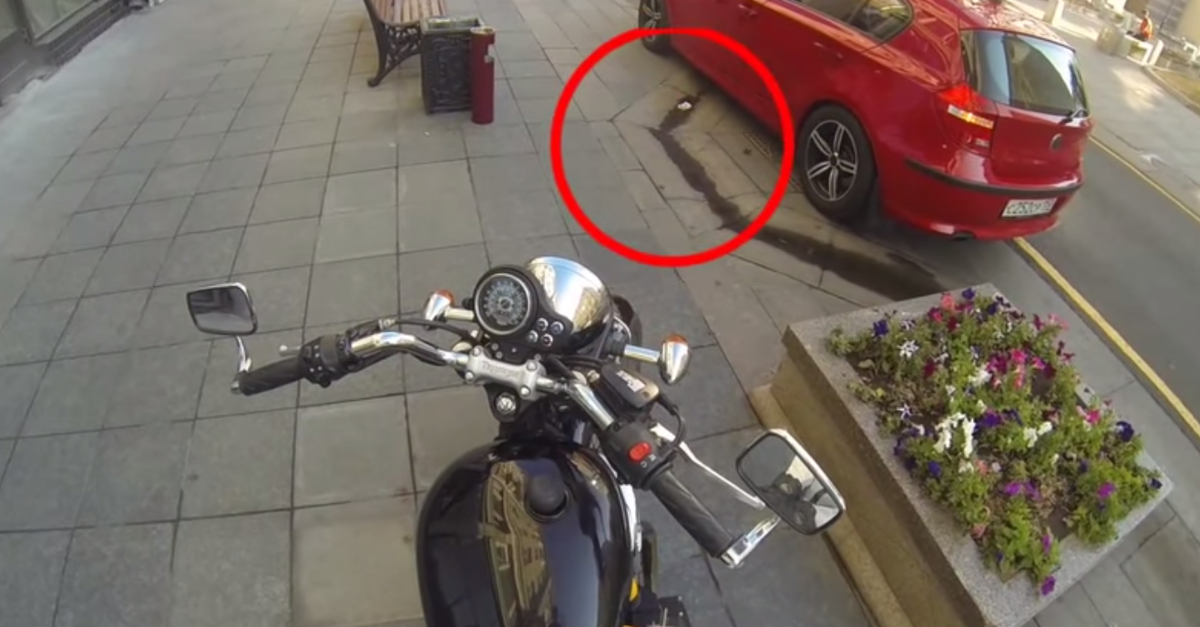OMGFacts's tweet photo. Somebody Litters In Front Of This Woman, Then She Does The Most Unbelievable Thing --> http://t.co/OQ3lT4A04r http://t.co/WpbgWz3Ots