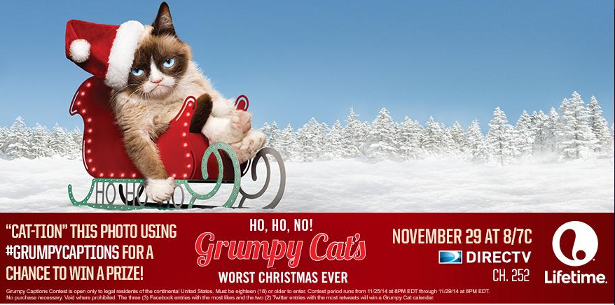 heltrim1's tweet photo. @DIRECTV @RealGrumpyCat Itching for a present? Your name was scratched off good list. Fleas Navidad! #GrumpyCaptions http://t.co/YkkKnciuV9