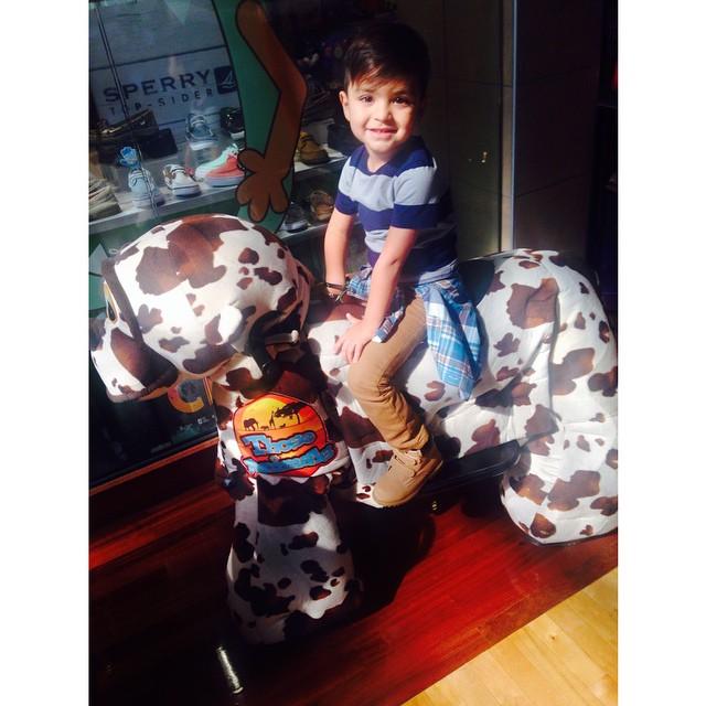 ThoseAnimals's tweet image. Takin' a ride! @fashion_kiddo