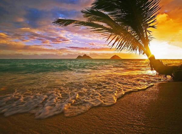 _Nature_Scenes's tweet image. Lanikai Sunrise, Oahu, Hawaii
