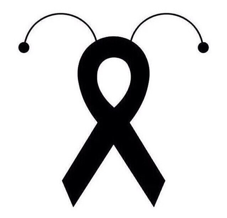 Pamela Cabrera on Twitter: 