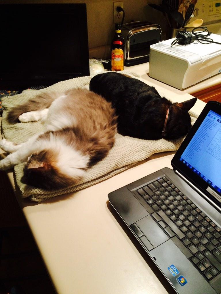 PKenreich's tweet photo. My writing buddies! @NaNoWordSprints http://t.co/ffM98y84Pb