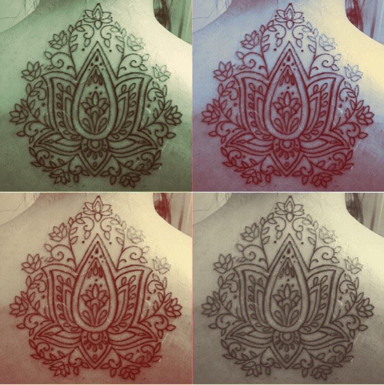 basicneha's tweet photo. #lotus http://t.co/Eq3de0rSAe