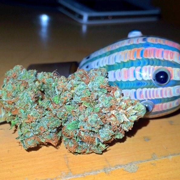 dailyloudpack's tweet image. Beautiful Daily Loud Pack😍🔥💥 (Skunk OG)