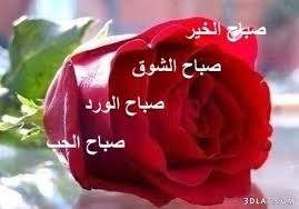 osamaamen6's tweet photo. صباحكم ورد http://t.co/zTa14KP7dk