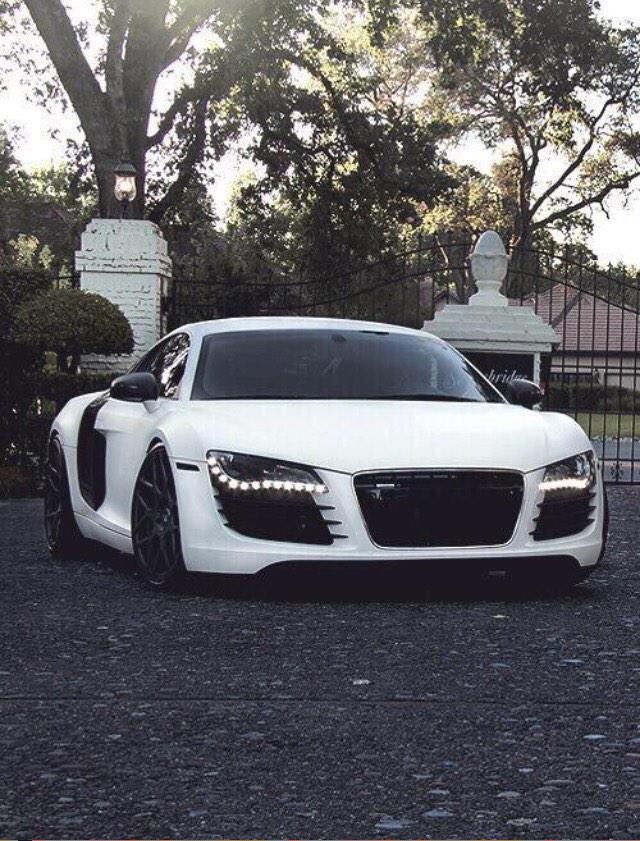 Audi Porn™ tweet media