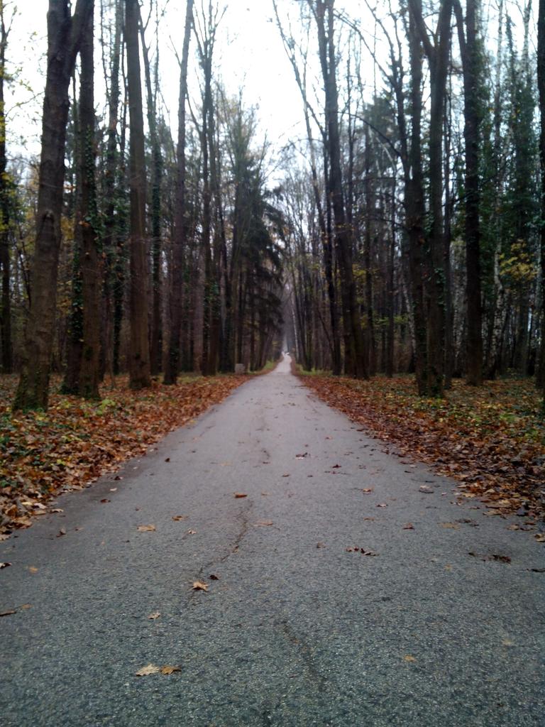 BERNOHY's tweet photo. Kamenáč prázdny. Kde ste? Neležte, bežte! http://t.co/xvV6lowvtI