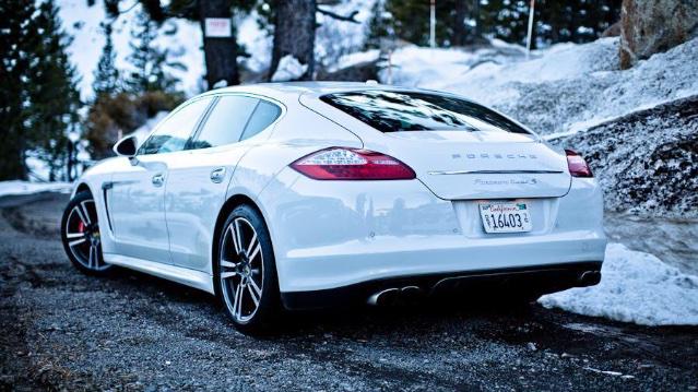 Dream Exotics tweet media