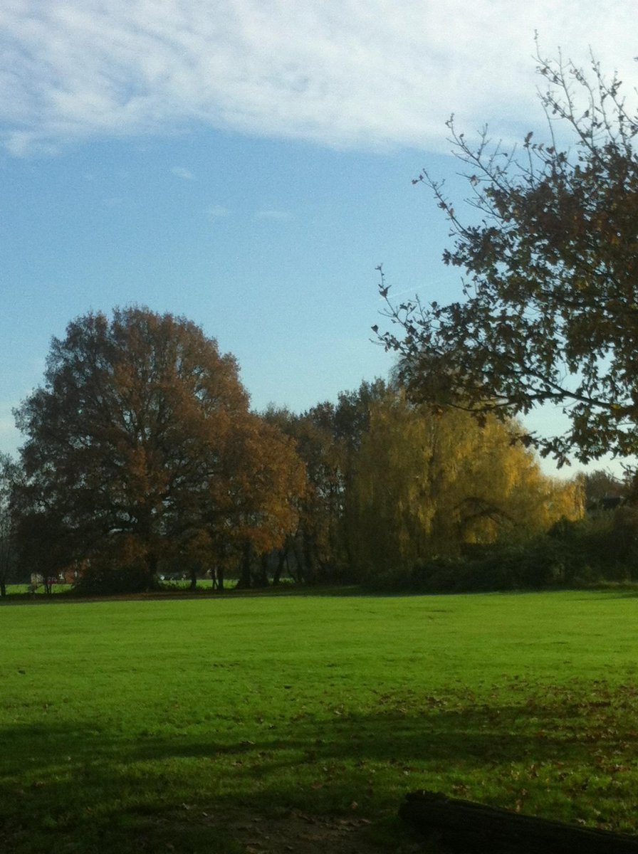 TheCricketers1's tweet photo. View from our terrace today - come and join us for lunch... http://t.co/a2SbBqVxja