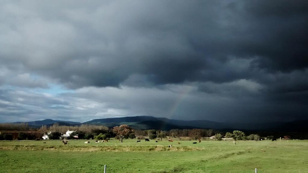 CervezaCerex's tweet photo. #Extremadura, Naturaleza en estado puro http://t.co/y39YZa1J2U