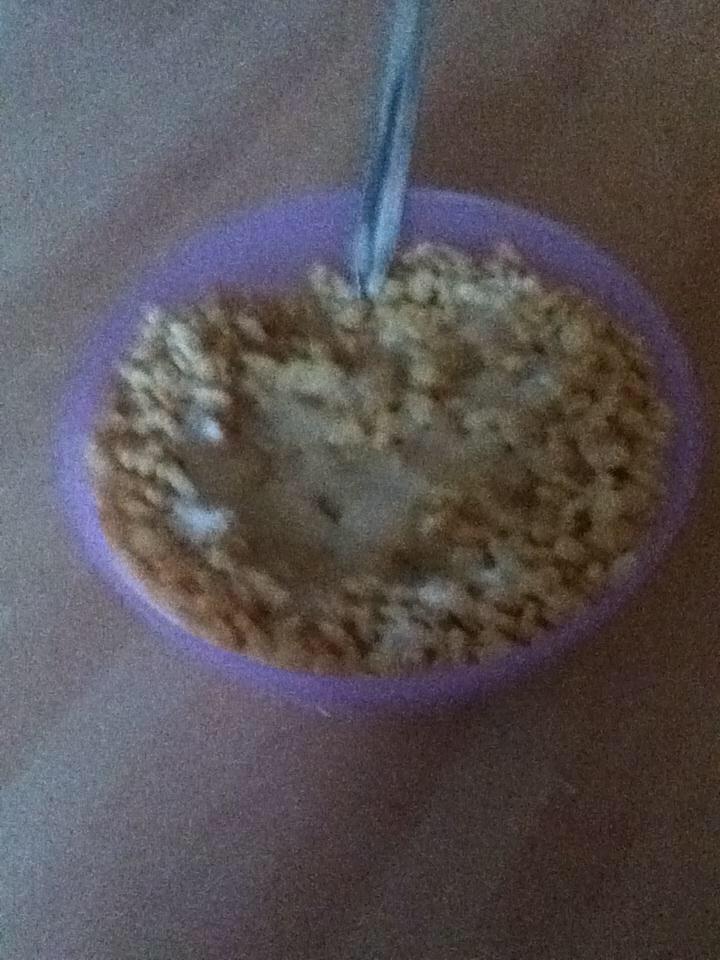 MCSGNeutrality's tweet image. &amp;lt;I got cereal.&amp;gt;