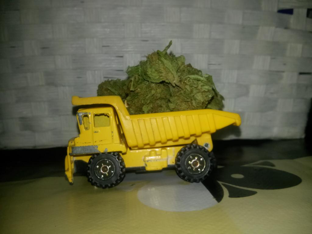 LosKanis's tweet photo. Les informamos de que ya nos han traido los suministros para esta noche! #prepararse http://t.co/zxvUqkMpz3