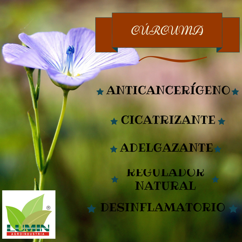 LuminAgro's tweet photo. @JuanP_H : Gracias por unirte a la familia de lo Natural... Bienvenido http://t.co/802xU66zlb
