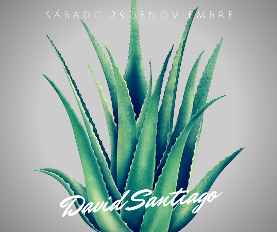 VentadelPobre's tweet photo. ¿Os apetece música en directo? Esta noche, nos acompaña #DavidSantiago. A partir de las 24,30 @esLaCafeteria http://t.co/NIwa3ePpiC