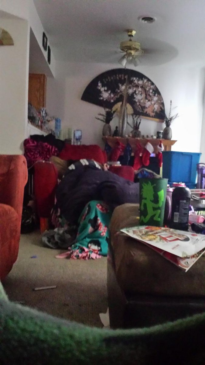 TorrinAndrew's tweet image. My liveing room