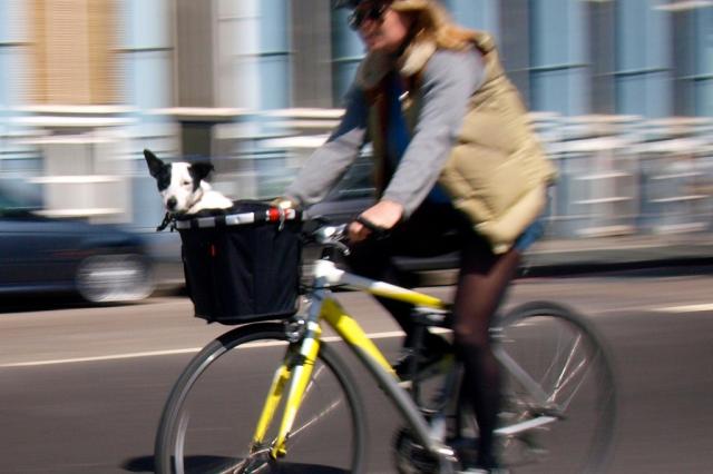 roadcc's tweet photo. Sustrans: Build on Sustainable Transport fund, don’t let it wither and die http://t.co/un9HXrpaKo http://t.co/843dyQkcYd #cycling