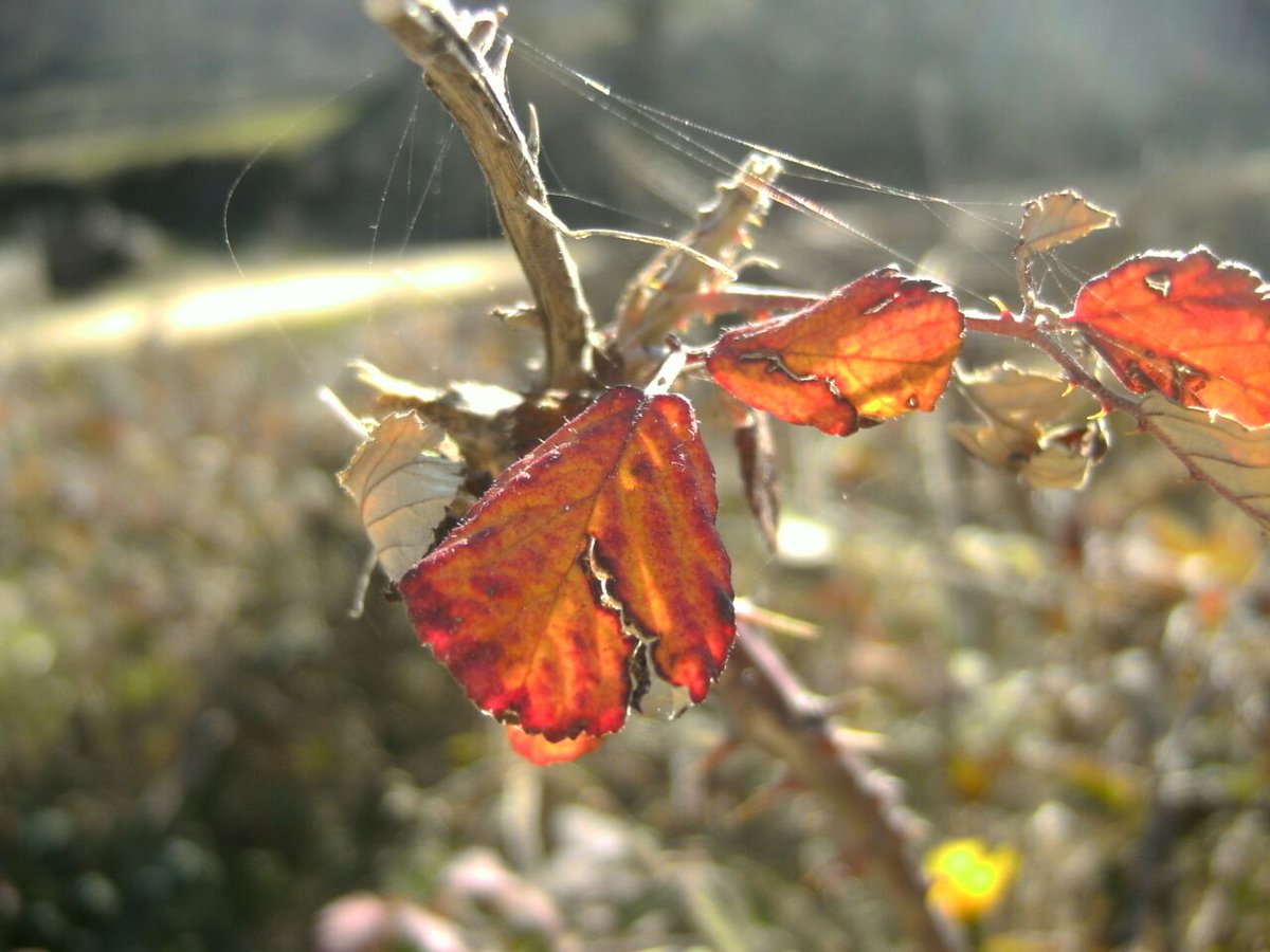 Todas las obras de la 
 naturaleza deben ser 
 tenidas por buenas.
 Cicerón
#Turismo http:// hosteriafontivieja.com