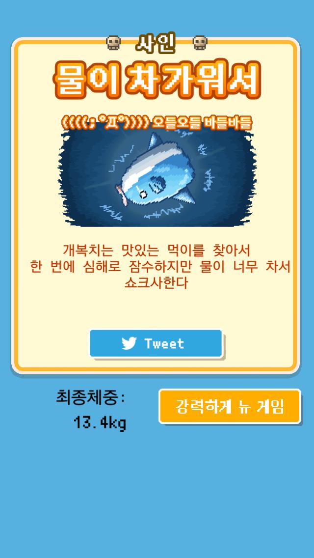chchch234's tweet photo. 힘들여서 키운 개복치가…
＿人人 人人＿
＞ 돌연사 ＜
￣Y^Y^Y^Y￣
사인:[물이 차가워서]
체중:13.4kg
무료육성 게임【살아남아라！개복치】
 #개복치 http://t.co/vFAkCq7PR7 http://t.co/jRGDEzzjRG