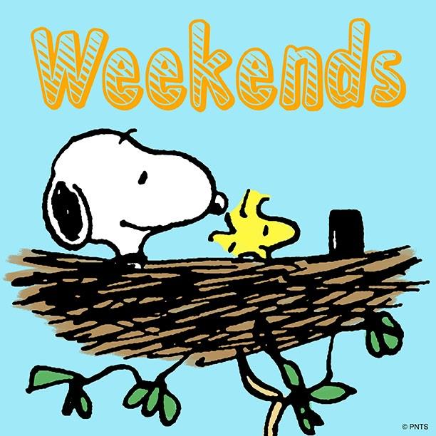 Snoopy's tweet photo. Weekends. http://t.co/f6WtCZNkst