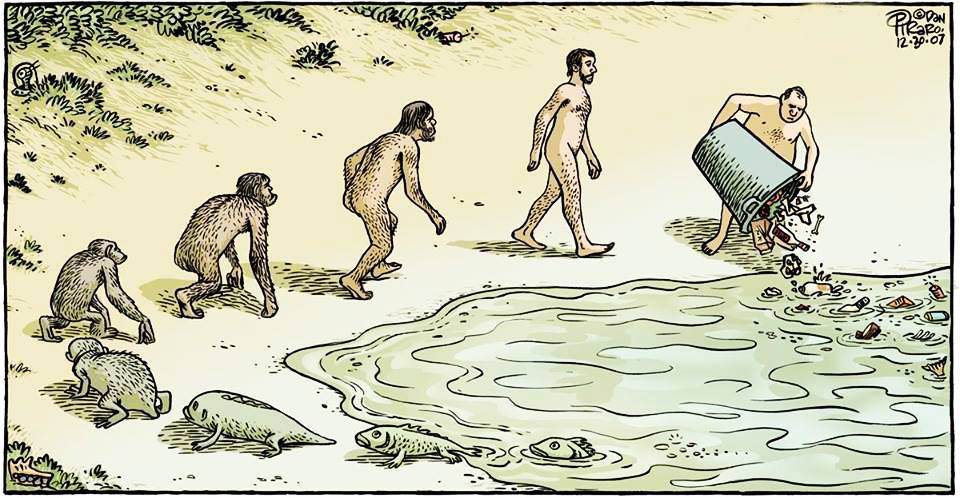 LaCiudadVerde's tweet photo. ¿Evolución? http://t.co/4LBlVuE2XR