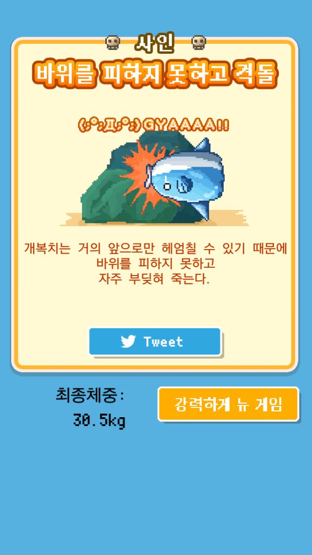 chchch234's tweet photo. 힘들여서 키운 개복치가…
＿人人 人人＿
＞ 돌연사 ＜
￣Y^Y^Y^Y￣
사인:[바위에 격돌]
체중:30.5kg
무료육성 게임【살아남아라！개복치】
 #개복치 http://t.co/vFAkCq7PR7 http://t.co/9X9rJlhEi4