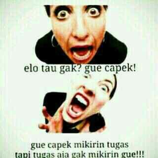 Software_One's tweet image. Is true