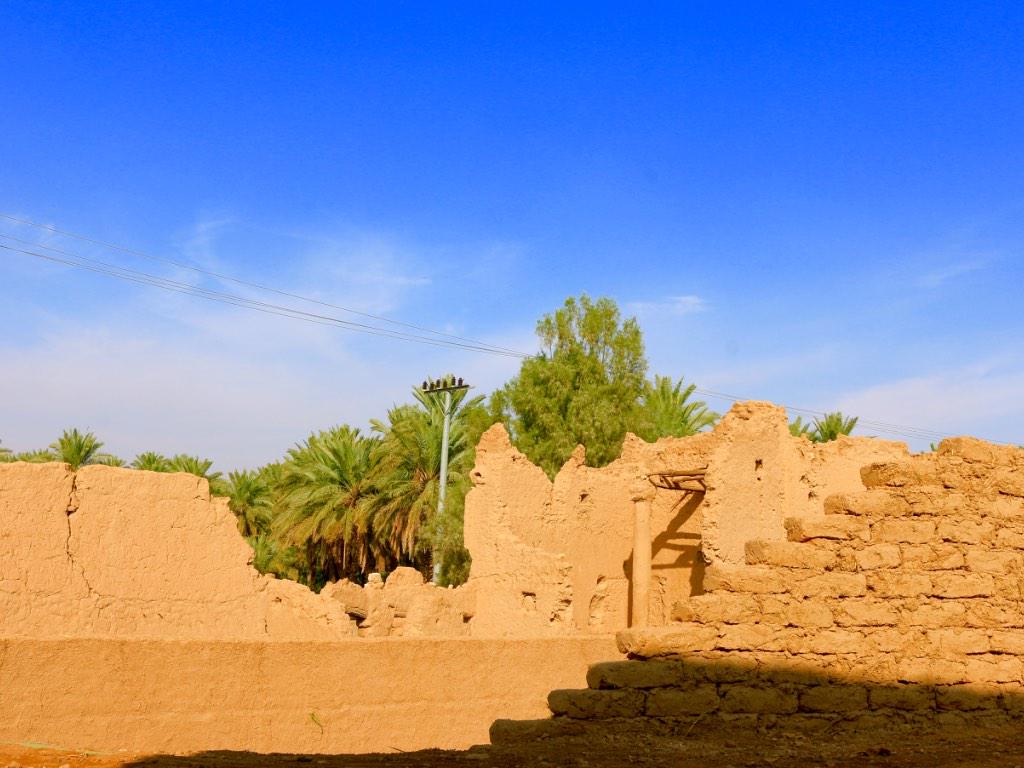 من عدستي : عودة سدير