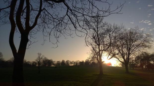 Photos of #Brockwell Park basking in the glorious winter sunshine today... tinyurl.com/ktmlyub #Brixton #HerneHill