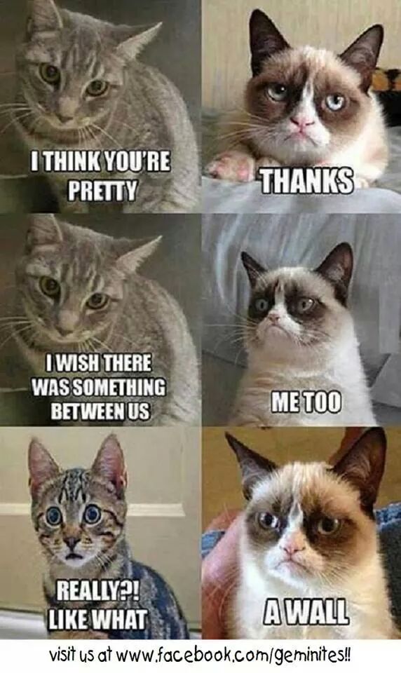 aahoule (@aahoule) on Twitter photo 