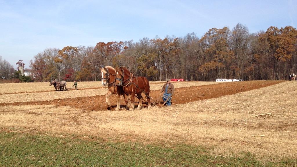 You do not see this type of field plowing everyday