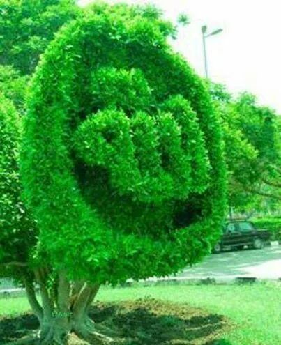 HoqueMarcom's tweet photo. http://t.co/Qrj79Oo3Xo