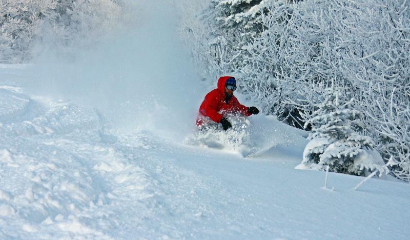 Mark McColgan tweet media