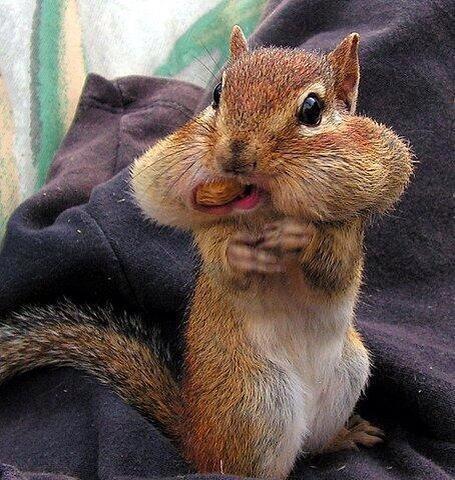 _Paisajes_'s tweet photo. Un cacahuatito más por favor. http://t.co/M0pCn0AQok
