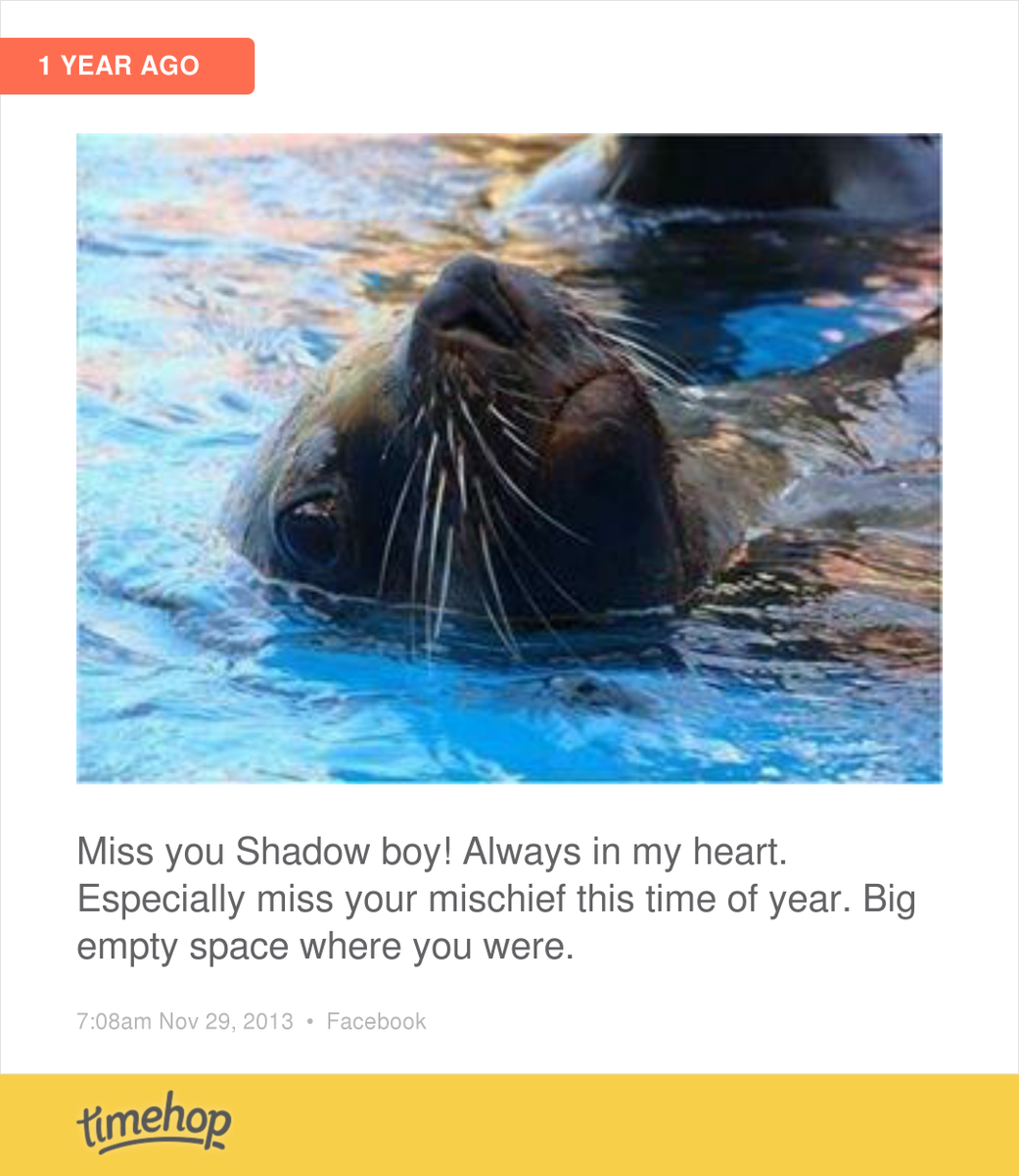 HayleyTennant's tweet photo. Always in my heart boy.... http://t.co/fGXhqjJj5l http://t.co/x3IOkPzAzq