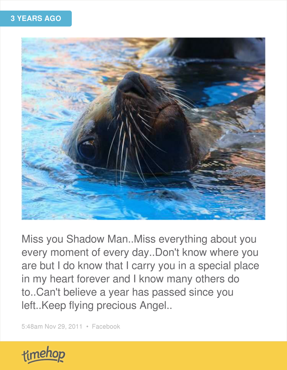 HayleyTennant's tweet photo. Always in my heart boy.... http://t.co/xQLDox16Tv http://t.co/ntXpxzCdX0