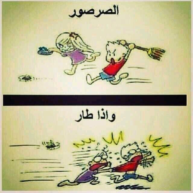 رعب إذا طار ههههههههههه😂😂 "