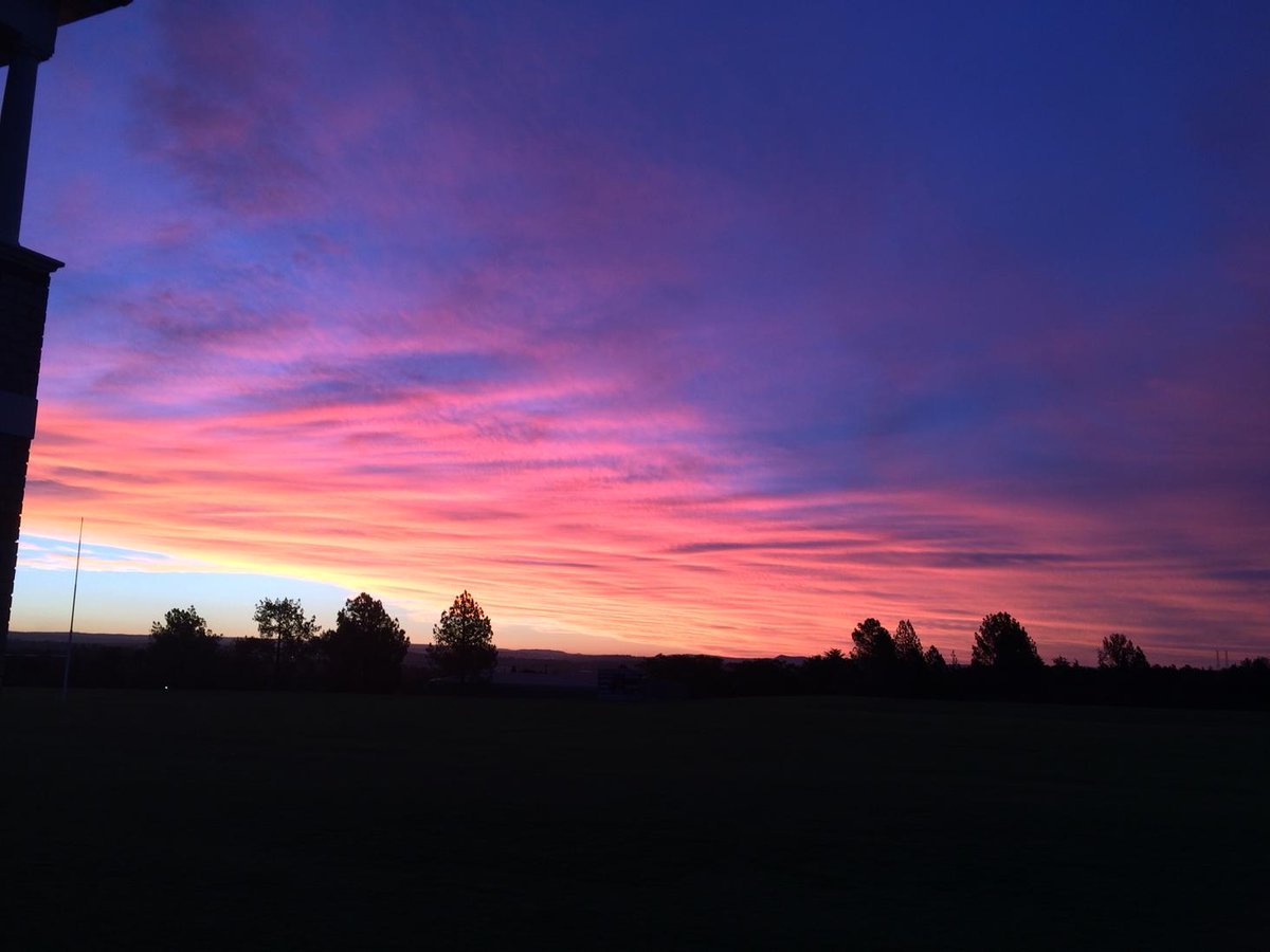 Chirene Wiid tweet media