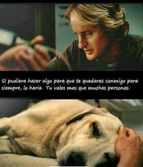 montero71's tweet photo. http://t.co/2npz6TPSwU