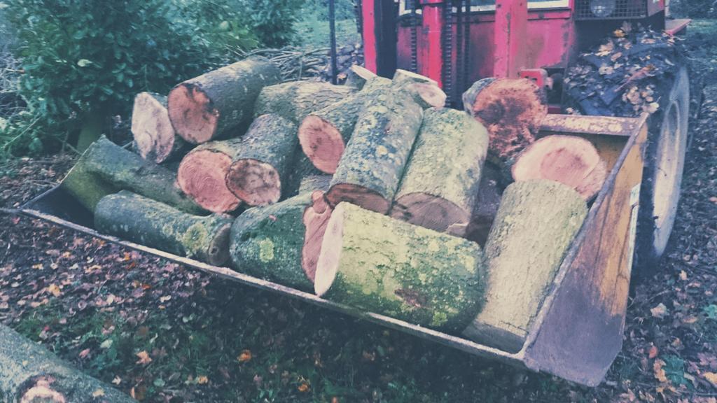 Great day working in the woods today :-) #wood #chainsawmill #logs #growninbritain #Lincolnshire