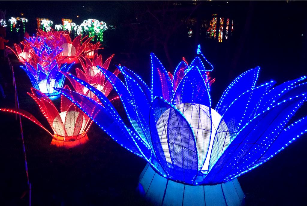 ccutrecht's tweet photo. RT @saskiahamminga: Als een sprookje...@China_Light #chinalight030 #utrecht http://t.co/OKAlPnCEqq