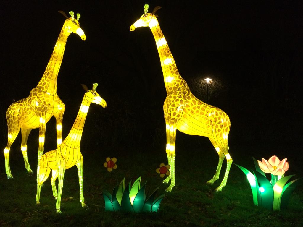 ccutrecht's tweet photo. RT @saskiahamminga: Als een sprookje...@China_Light #chinalight030 #utrecht http://t.co/OKAlPnCEqq