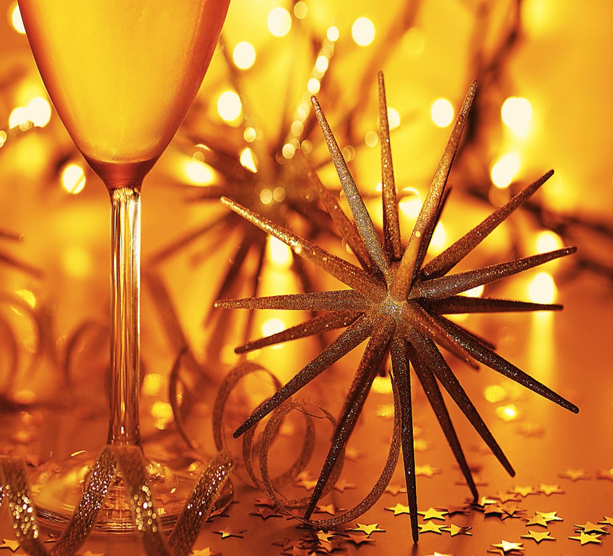 Holiday Party Season! Families, friends, coworkers, it's time to celebrate and we've got the perfect venue for you!