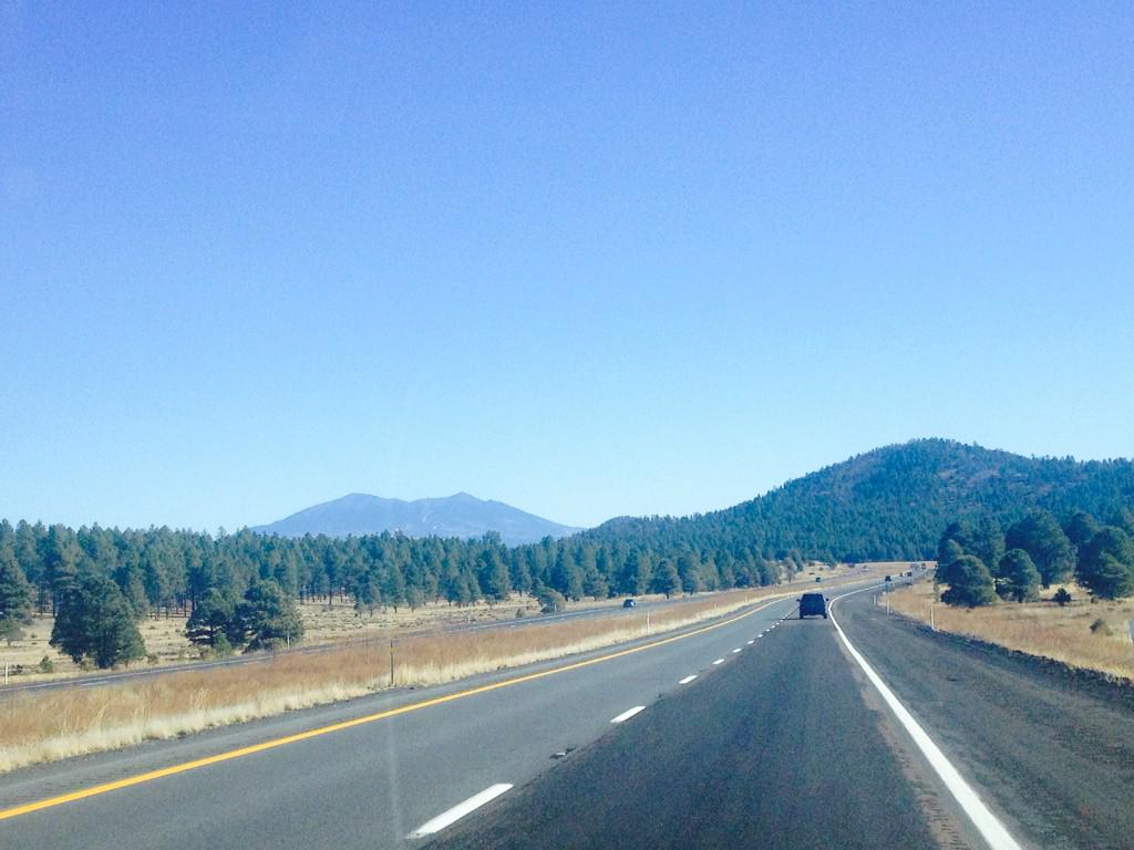 30hoursnoshower's tweet photo. Just kidding. Apparently Arizona hoards the green. #sneakyarizona #sleptthroughthislasttime http://t.co/ficZe9jMnt