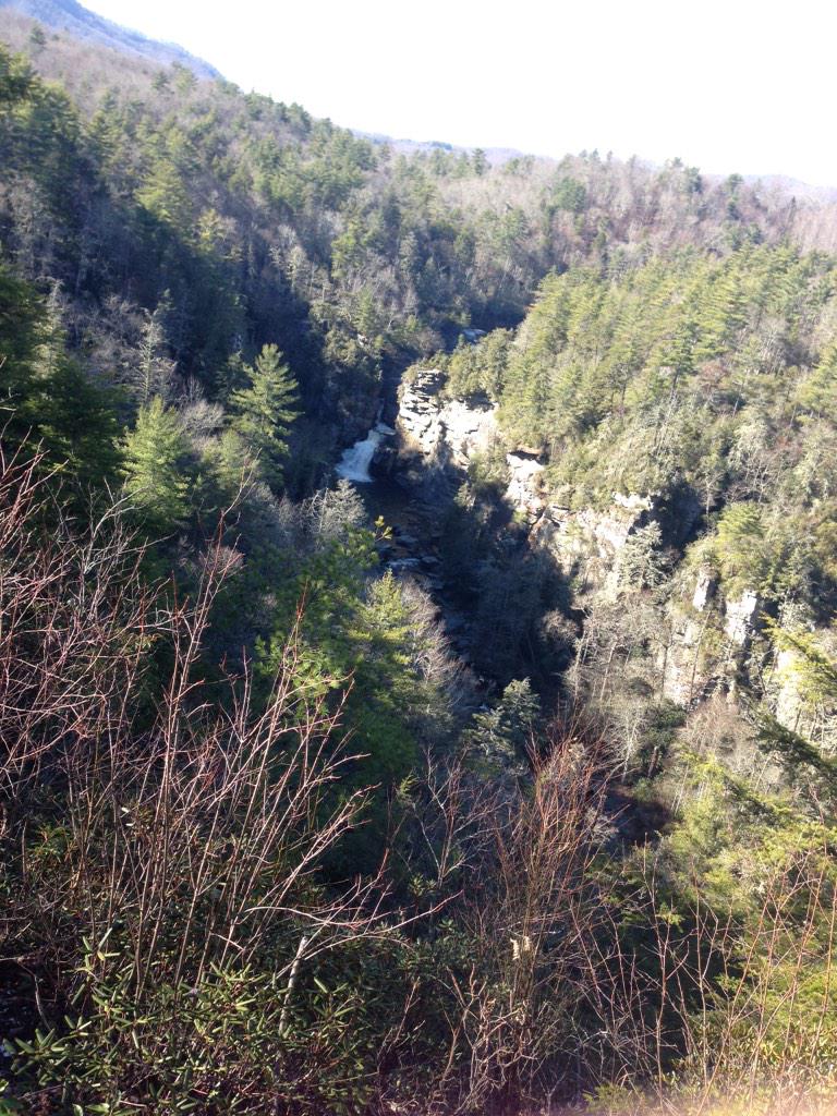 BronteAlexis's tweet photo. We went on a hike http://t.co/vhNvfs1xLq