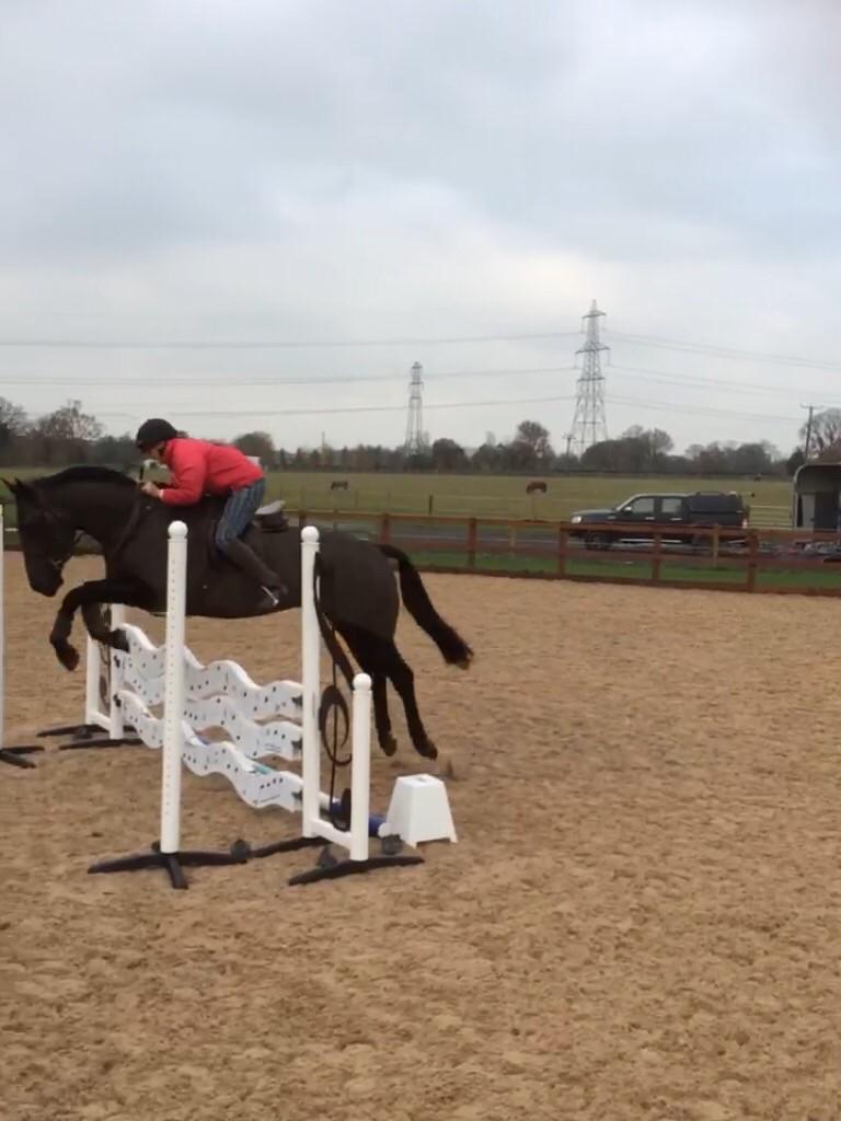 NatalieRampling's tweet image. We are getting there.