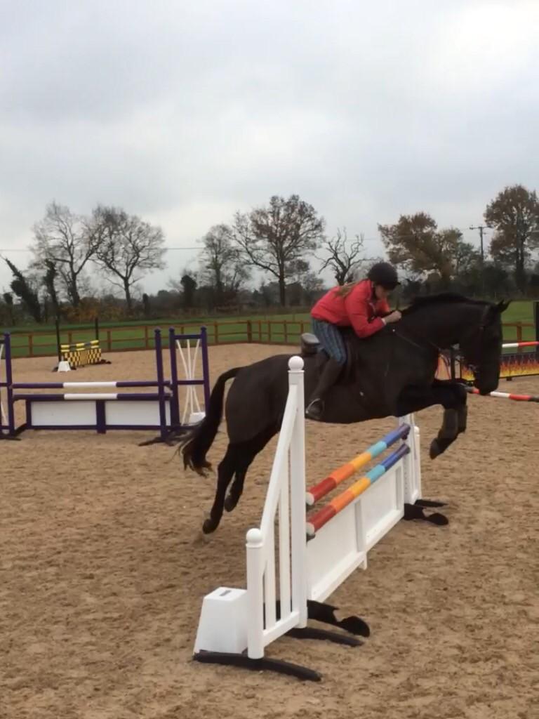 NatalieRampling's tweet image. 