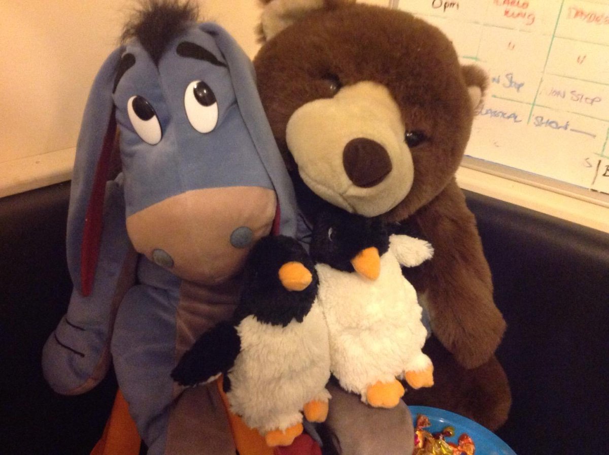 Jonesyonair's tweet photo. The bear and  Eeyore meet the stars of @johnlewisretail advert @MontyThePenguin @MabelThePenguin @radioglamorgan http://t.co/1oSWrafWX3